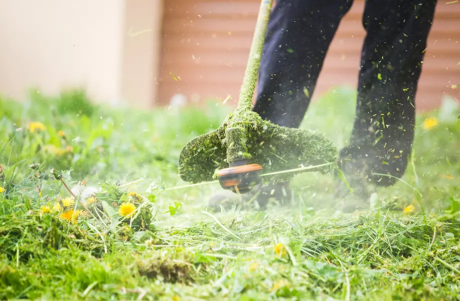 Contact - Formby Gardener